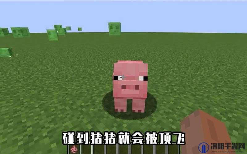 我的世界猪怎么飞，让猪飞的方法