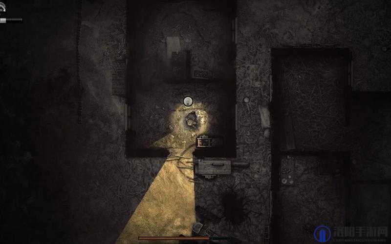 阴暗森林Darkwood存档位置详解