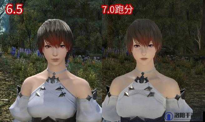 最终幻想14FF14跑分软件不能导入捏人-捏脸数据导入教程