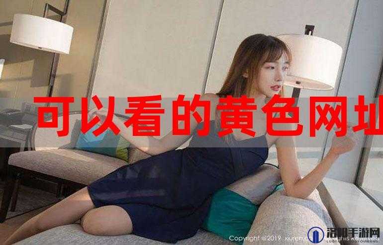 成年人璜铯网址：探索私密领域的入口