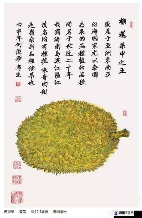 丝瓜草莓秋葵榴莲:四种蔬果的独特魅力与营养价值介绍