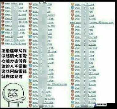 成年人网址：你需要的可能是这个