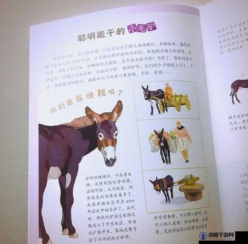 秘婵精:探索其独特魅力与未知奥秘的奇妙之旅