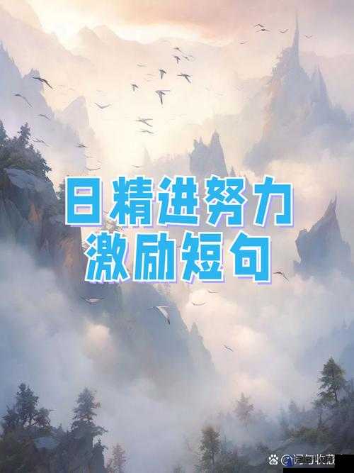 日日精进，久久为功：努力不懈，方能成功