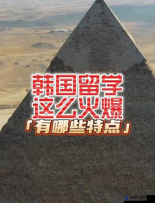 成品 78w75 通道 1 到现在热度不减：其魅力究竟何在