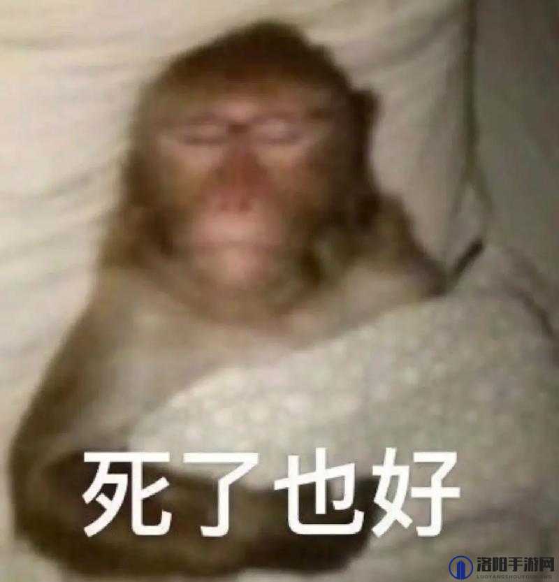 我还活着，但没声音怎么办？