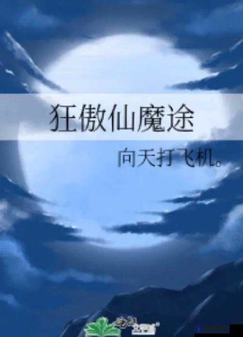 拔插拔插我要打飞机——探寻别样的欲望之旅
