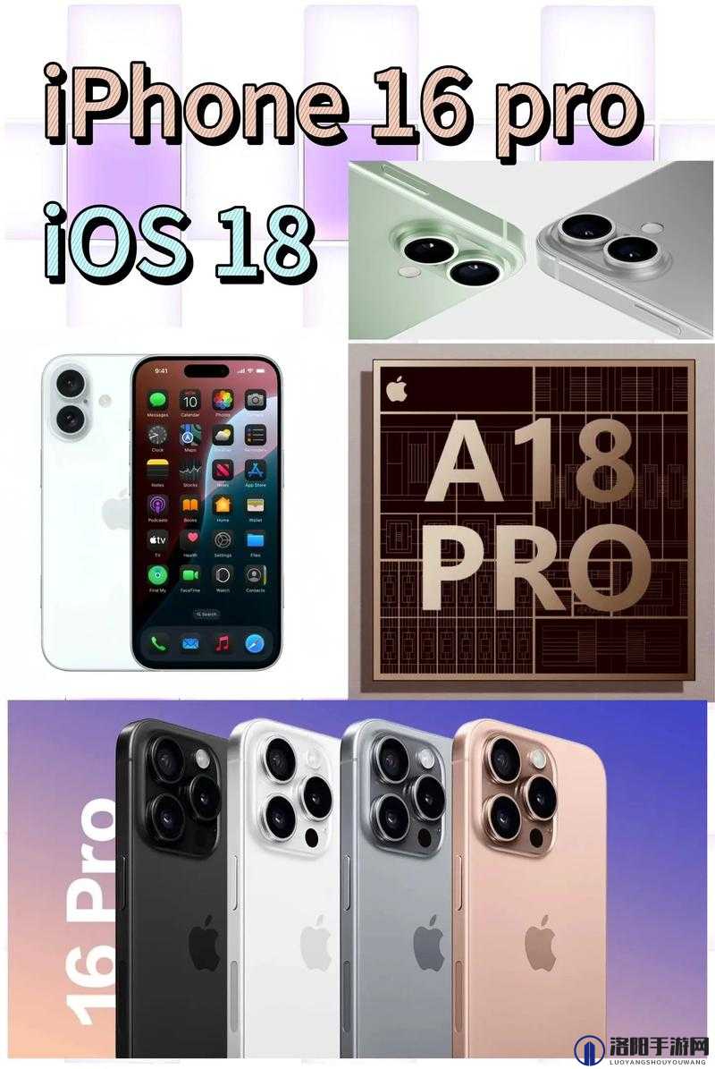 苹果官网iPhone16热：全新科技魅力引发抢购狂潮