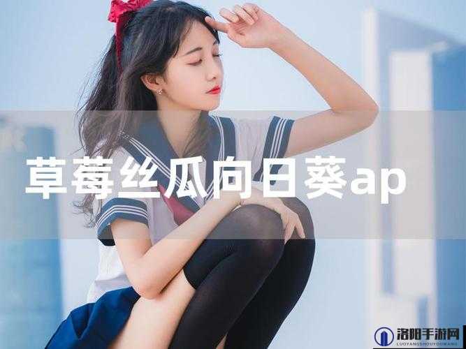 草莓向日葵丝瓜幸福宝——探寻别样的生活乐趣与美好