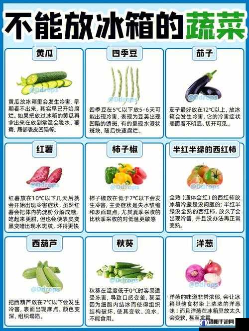 秋葵茄子丝瓜香瓜榴莲大全：各类蔬果详细介绍与食用指南