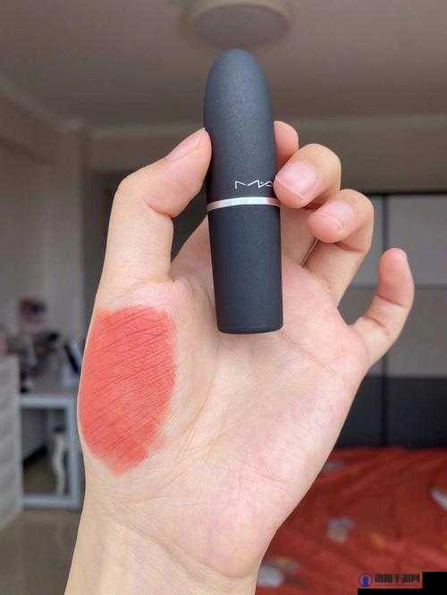 MAC 水蜜桃色 314 ：打造专属甜美妆容的必备之选