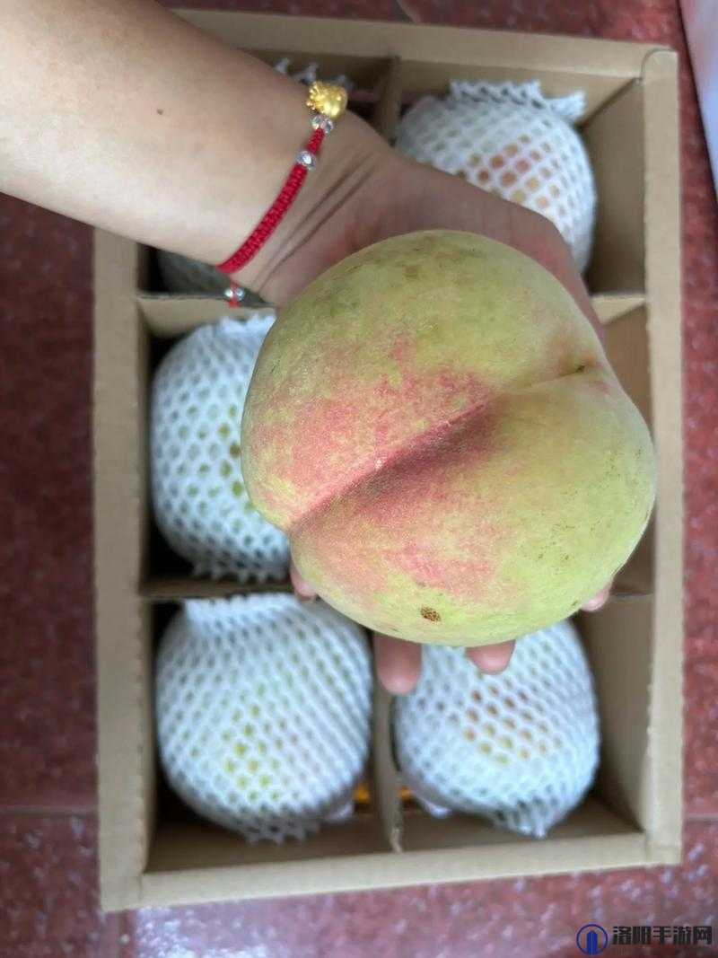 x7x7x7x7 水蜜桃在线：带你畅享甜蜜水果之旅