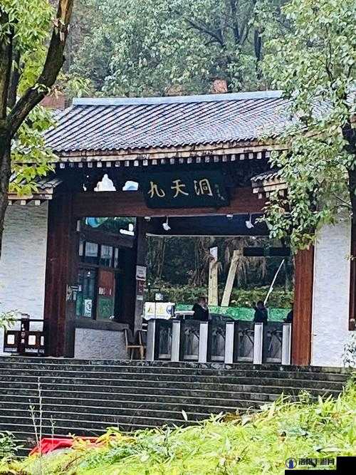 清风阁视频我爱干：一场别样的文化之旅