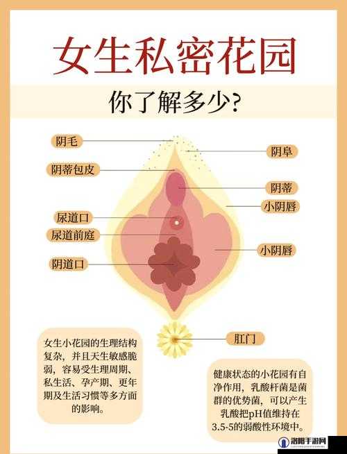 如何科学地照顾小花园：技巧、方法与注意事项