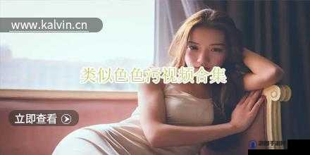 色色猫下载：一款独特的应用软件等你来体验
