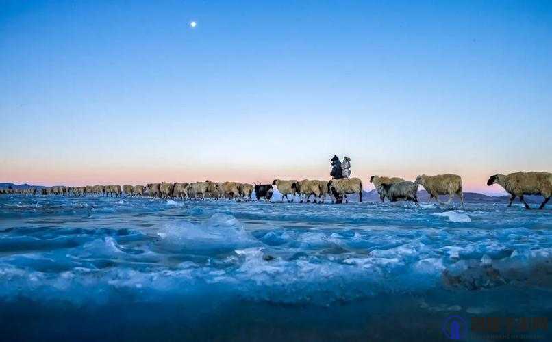 www.就要鲁：开启独特精彩之旅