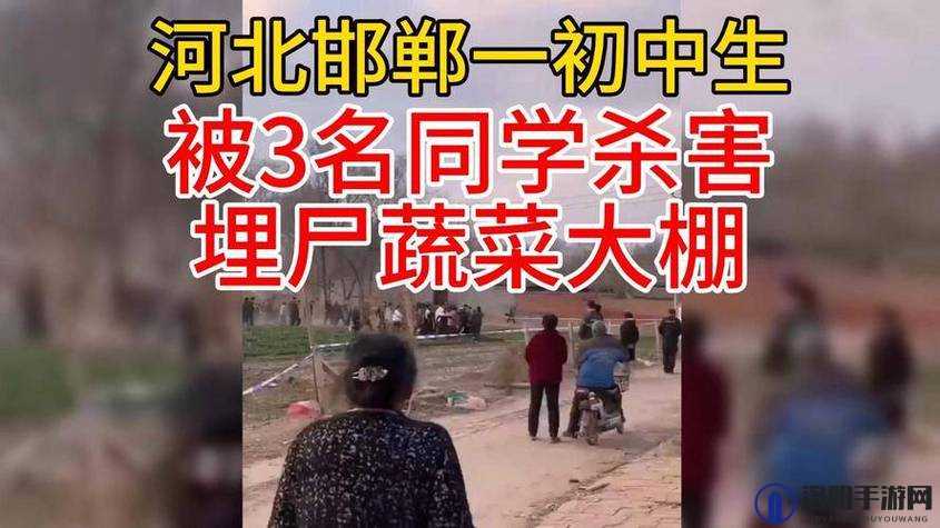 1919 年盗撮事件引发的深刻思考与警示