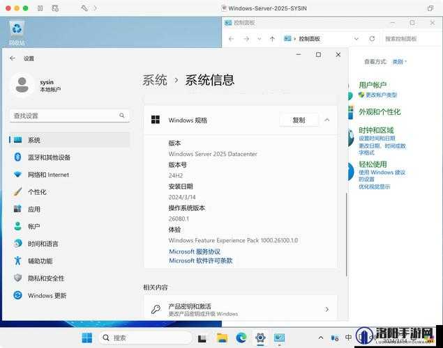 日本 Windows Server 片相关技术特点与应用领域分析