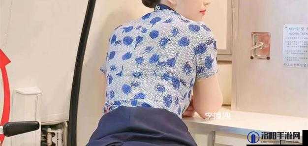 空乘人员被指在飞机上向乘客做出不雅行为