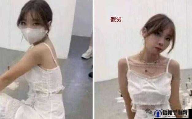 玩偶姐姐究竟是何身份引发的独特探讨