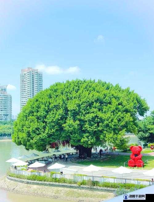 爱情岛亚州品质首页自拍:记录美好瞬间的浪漫之旅