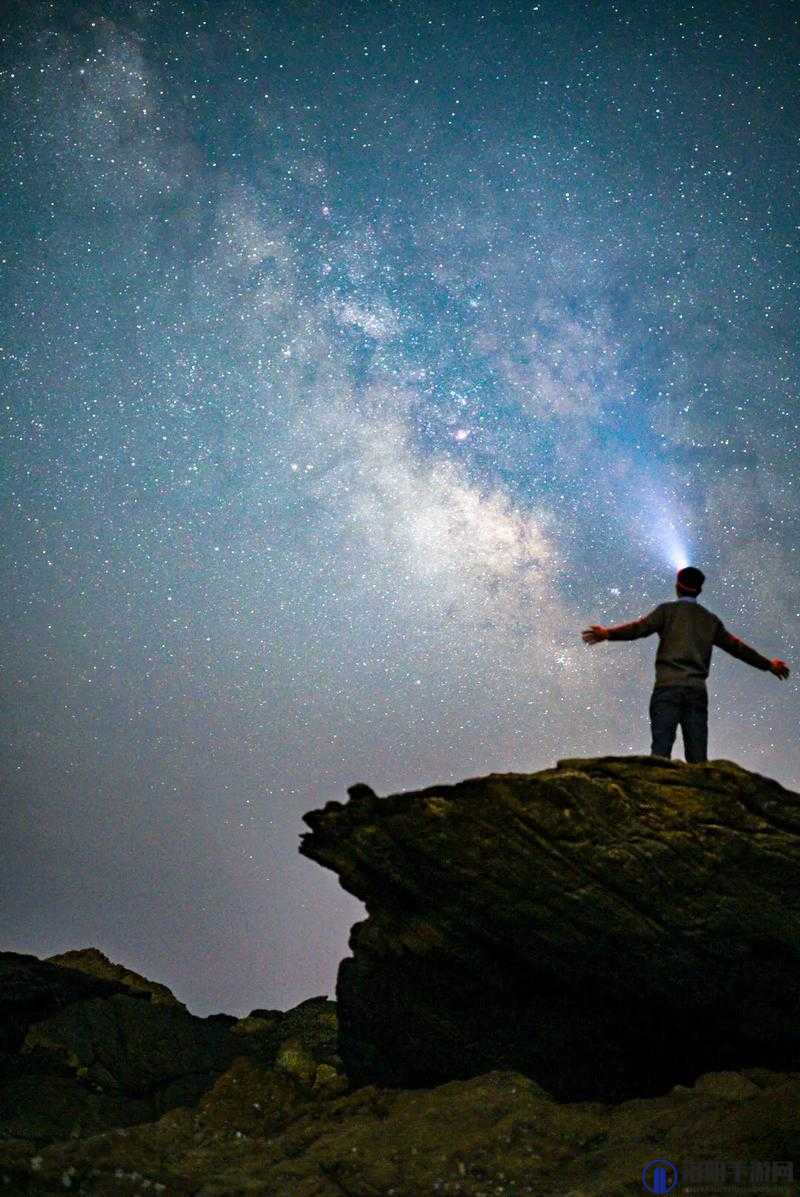 天美麻花星空大象在线看：精彩绝伦的视觉盛宴等你来