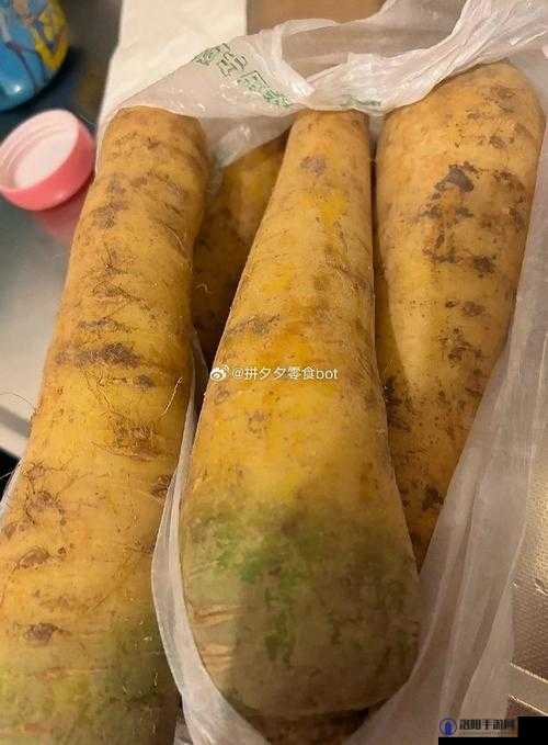 一小孩和妈妈胡萝卜黄:充满温情与成长的亲子时光