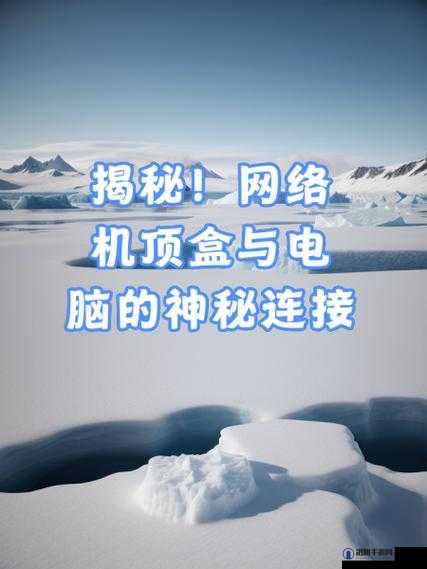 二丫耗户一张一合：揭秘网络世界的神秘现象