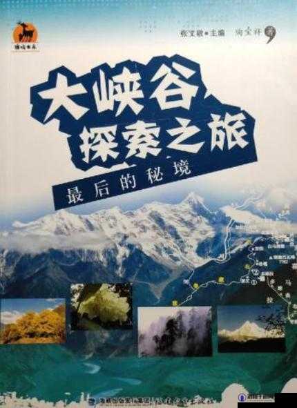 WWW.XXX ：开启精彩无限的探索之旅