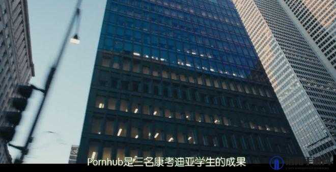 青楼传媒密入口成年人网站：揭秘成年人世界的另一面