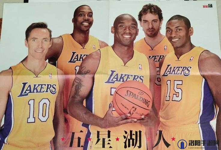 张警撞玻璃视频大全播放 NBA 引发的热议与思考