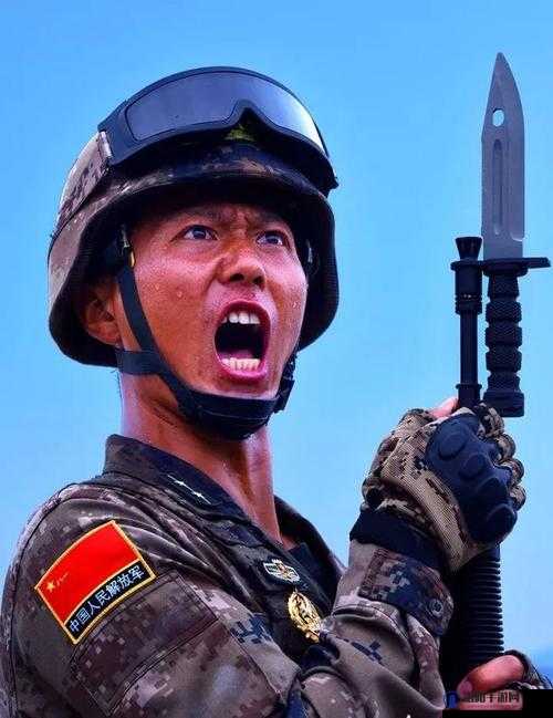 好爽好紧∶军人 H 野战，戗林弹雨激情无限