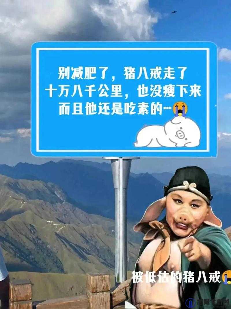 八戒未满十八年禁止：关于这一规定的详细解读与重要意义