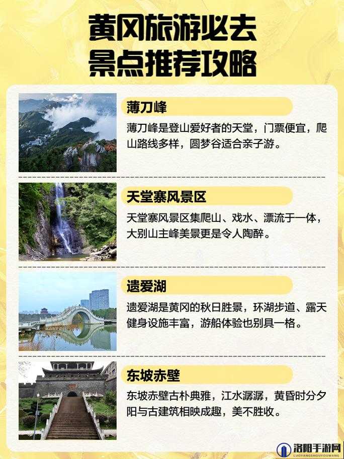 免费的黄冈网站有哪些：这些网站你不能错过