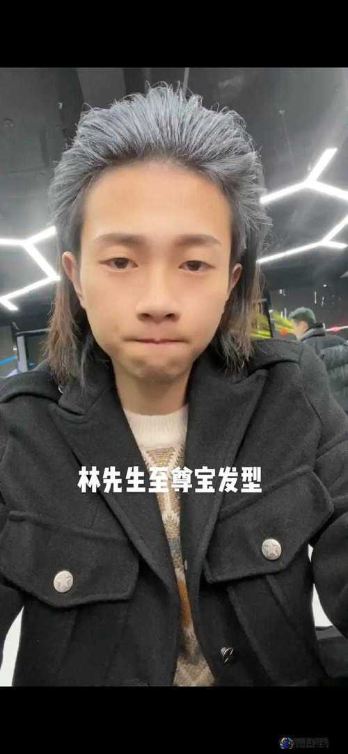 林先生的花式管教：一场充满趣味与教育意义的故事