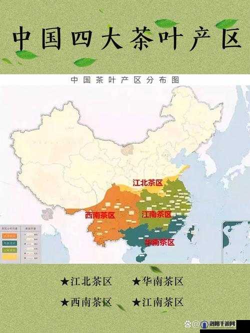 亚洲一线产区二线产区地图：探寻茶叶的神秘之旅