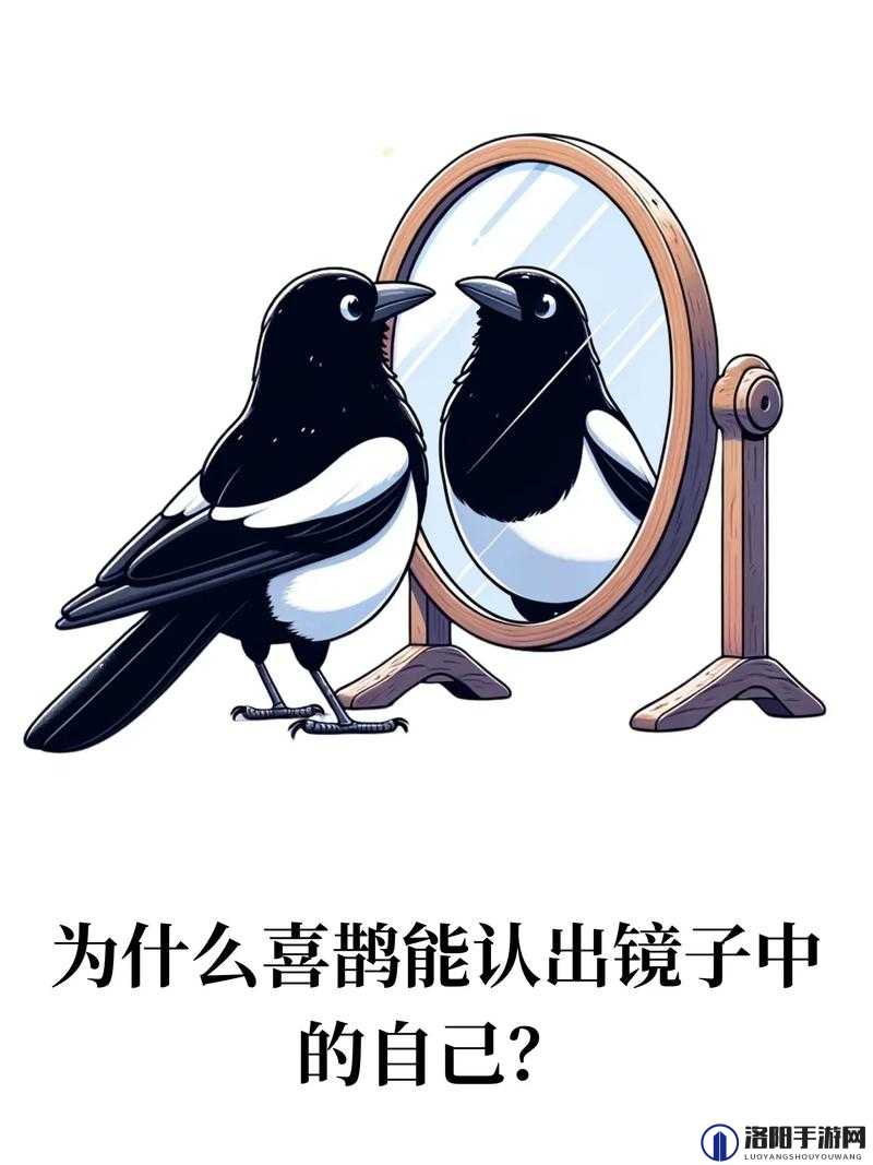 探索镜子里的接合处:隐藏的未知之谜