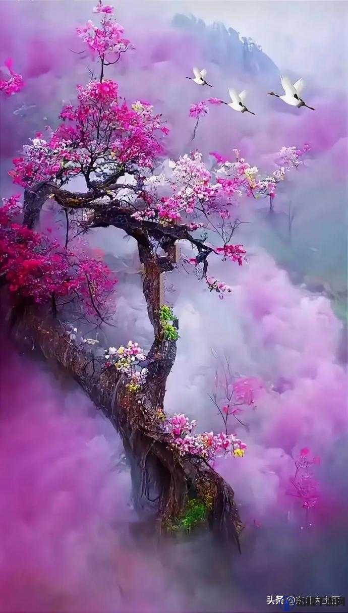 国色天香桃花朵朵开——那令人陶醉的美丽盛景