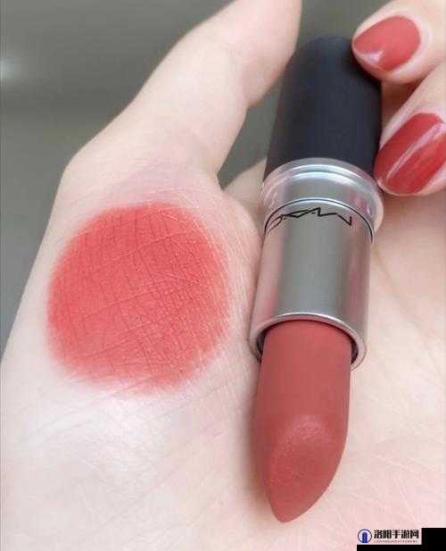 mac 水蜜桃色 314 经典魅力永不过时