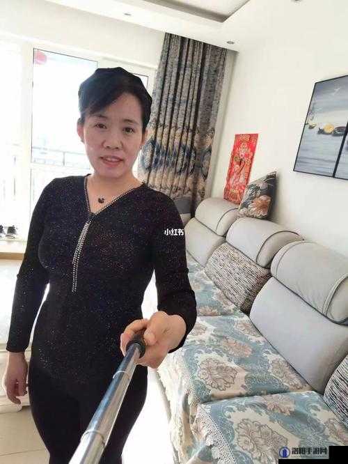 沈阳老阿姨最后的巅峰沈阳 45 之相关详细解读与深度剖析