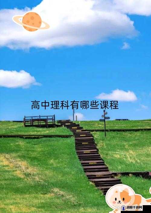 美国 37 大人文艺术专业课程：深入探索人类智慧与创造力的宝库