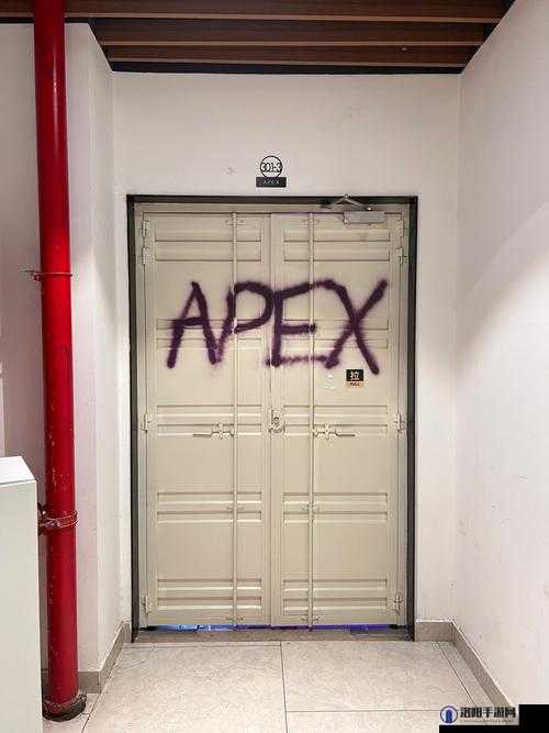 apex 解密：探索游戏背后的秘密