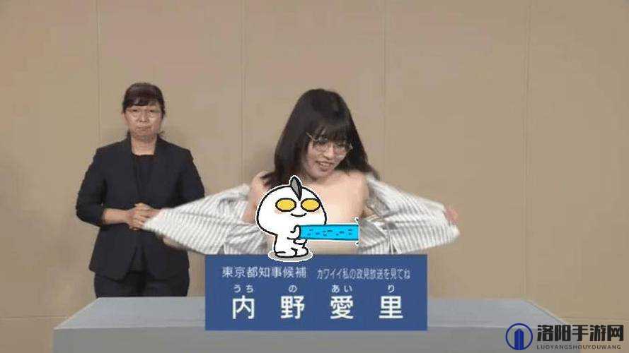 日本内野床上 100：探索其独特魅力与品质的卓越之选