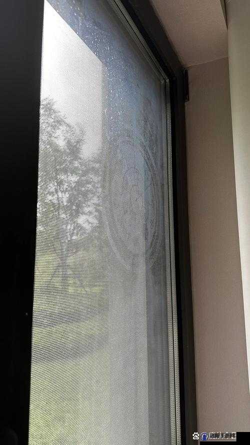 趴在玻璃窗上的神秘行为：究竟是为了什么？