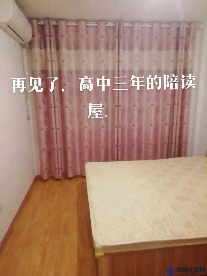 出租房里的日常交互：温馨与和谐的生活点滴