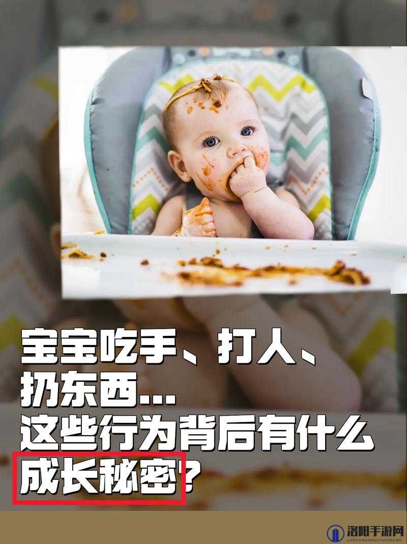 小东西怎么这么会吃：探秘其背后的秘密