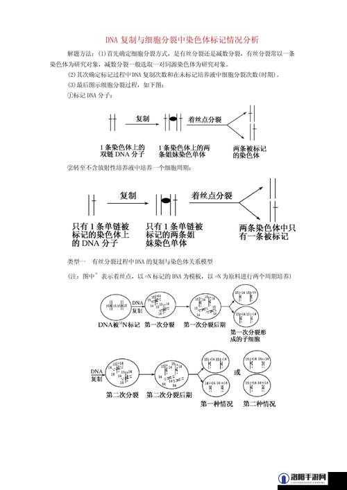细胞分裂6 1.3版跳出问题解决方案