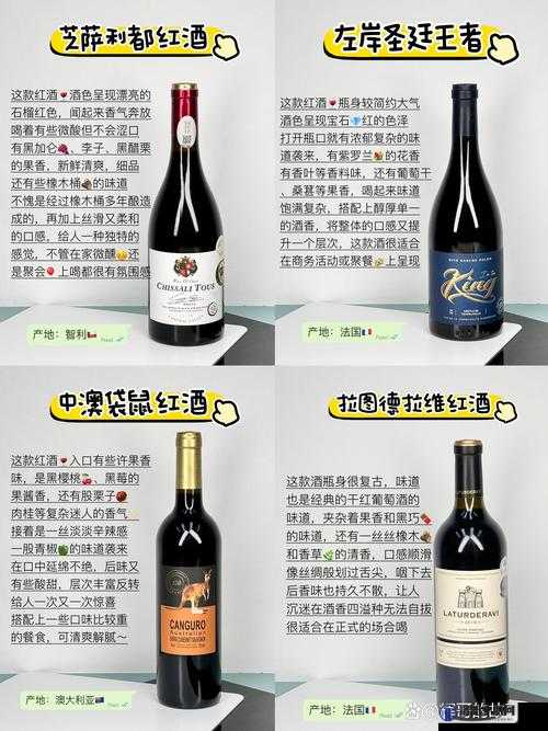 别到红酒了装不下了 1v2 频频：一场独特的红酒盛宴背后的故事