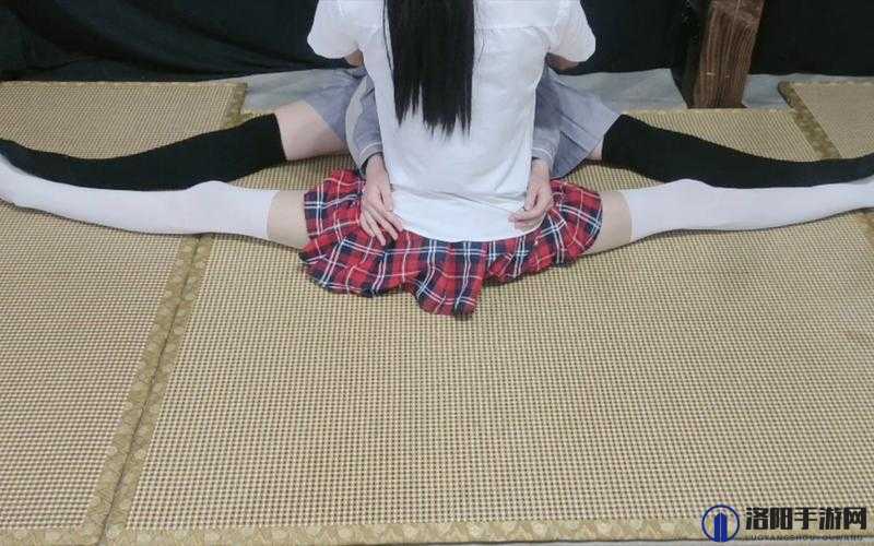 少女视频哔哩哔哩：可爱与活力的完美结合