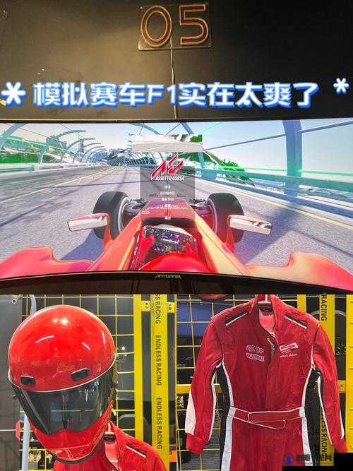 F1 2013游戏赛车论坛磨损严重？这里有妙招！